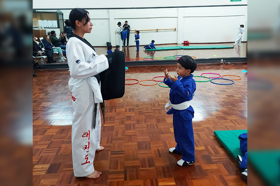 Taekwondo Toluca