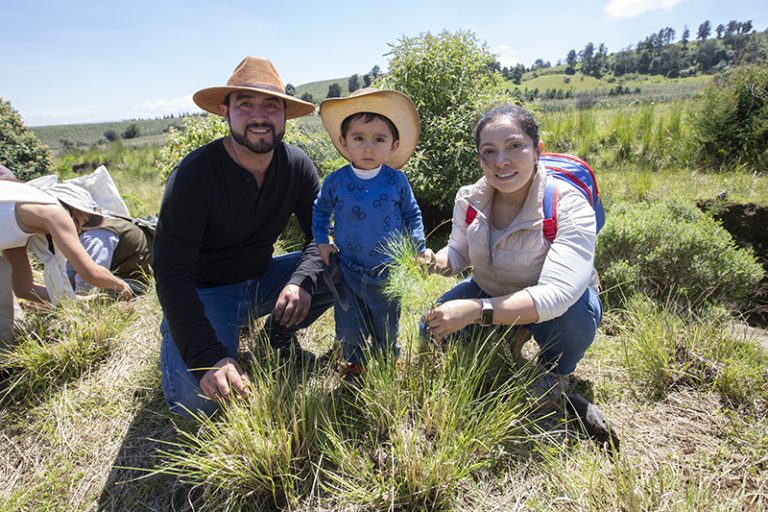 Reforestación con Aliados que Fortalece la vocación forestal del EDOMEX